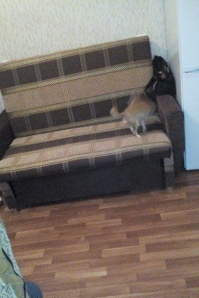 Не большая, светлая, уютная комната с хорошей аурой.