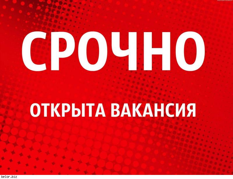 Менеджер интернет-проекта.